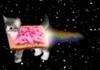 Nyan Cat (my realism edit)