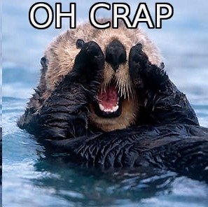 Oh+crap+otter+1_973952_3126507.jpg